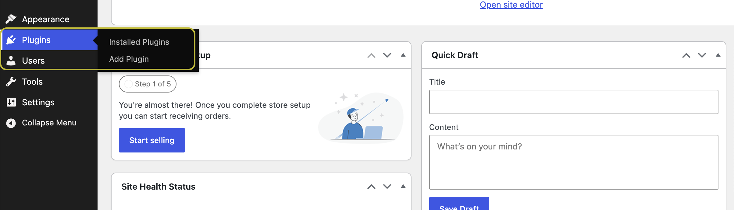 WordPress dashboard showing Plugins menu